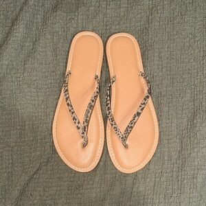 Leopard Print Flip Flops